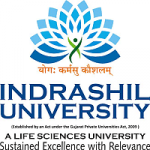 Indrashil University Rajpur